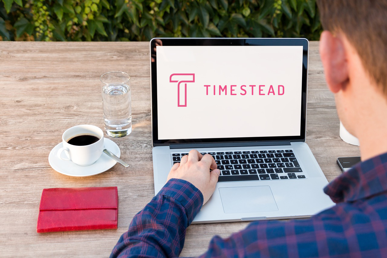 remote working - Timestead